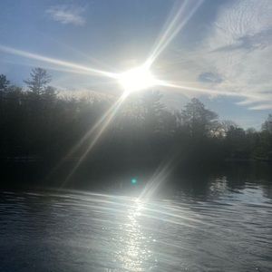 Meet your Posher, Penny